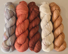 Load image into Gallery viewer, Shawl/Scarf Yarn Kit – SW Merino Fingering/4Ply