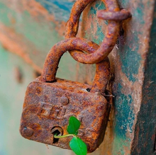 Load image into Gallery viewer, Swish Yarns Club