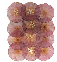 Load image into Gallery viewer, Swish Yarns Club 2023