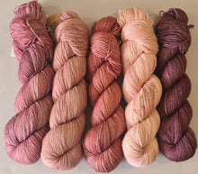 Load image into Gallery viewer, Shawl/Scarf Yarn Kit – SW Merino Fingering/4Ply