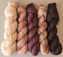Load image into Gallery viewer, Shawl/Scarf Yarn Kit – SW Merino Fingering/4Ply