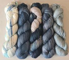 Load image into Gallery viewer, Shawl/Scarf Yarn Kit – SW Merino Fingering/4Ply