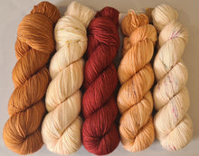 Load image into Gallery viewer, Shawl/Scarf Yarn Kit – SW Merino Fingering/4Ply