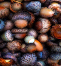 Load image into Gallery viewer, Pre- Order Swish Yarns Advent Calendar 2026
