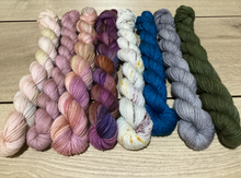 Load image into Gallery viewer, 4Ply/ Fingering SW Merino 8 skeins x 25g each  736 m
