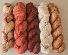 Load image into Gallery viewer, Shawl/Scarf Yarn Kit – SW Merino Fingering/4Ply
