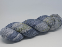Load image into Gallery viewer, 8Ply Hand Dyed Merino Yarns 115g
