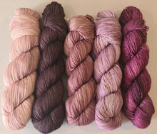 Load image into Gallery viewer, Shawl/Scarf Yarn Kit – SW Merino Fingering/4Ply
