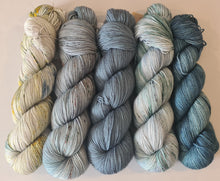 Load image into Gallery viewer, Shawl/Scarf Yarn Kit – SW Merino Fingering/4Ply
