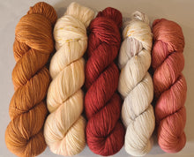 Load image into Gallery viewer, Shawl/Scarf Yarn Kit – SW Merino Fingering/4Ply
