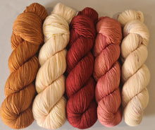 Load image into Gallery viewer, Shawl/Scarf Yarn Kit – SW Merino Fingering/4Ply
