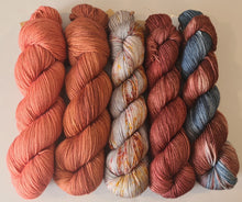 Load image into Gallery viewer, Shawl/Scarf Yarn Kit – SW Merino Fingering/4Ply
