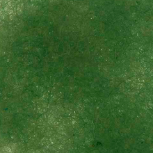 Load image into Gallery viewer, Hand Dyed Australian Corriedale Tops  Sheets for  felting
