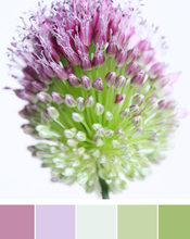 Load image into Gallery viewer, Pre- order  12 days Yarn Advent Calendar 2023
