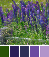 Load image into Gallery viewer, Pre- order  12 days Yarn Advent Calendar 2023
